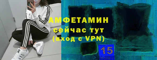 a pvp Бородино