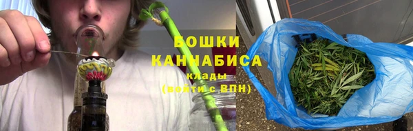 a pvp Бородино