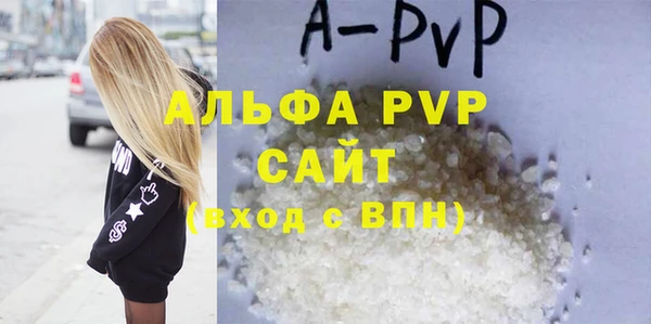 a pvp Бородино