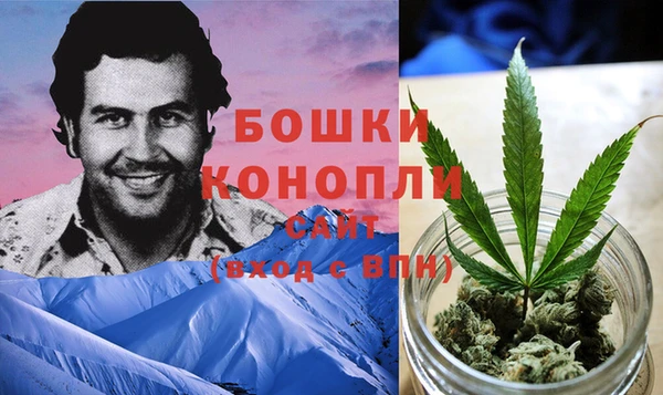 шишки Верхний Тагил