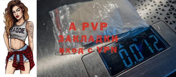 a pvp Бородино