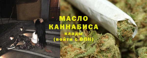 шишки Верхний Тагил