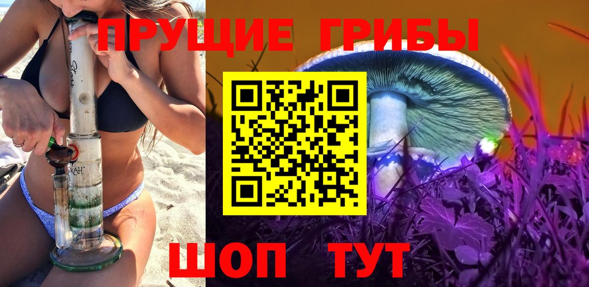 Дагестанские Огни  Псилоцибиновые грибы Psilocybine cubensis  Псилоцибиновые грибы Psilocybine cubensis  Вход с VPN 