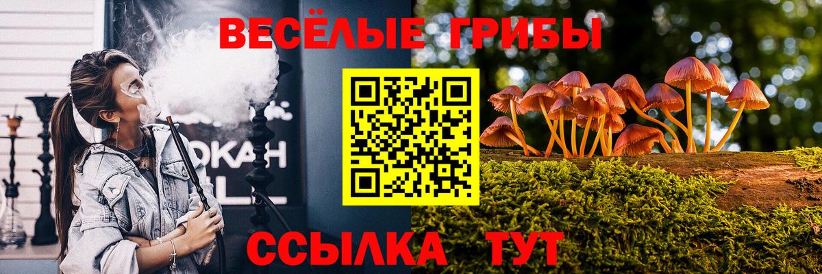 Псилоцибиновые грибы Cubensis Дагестанские Огни